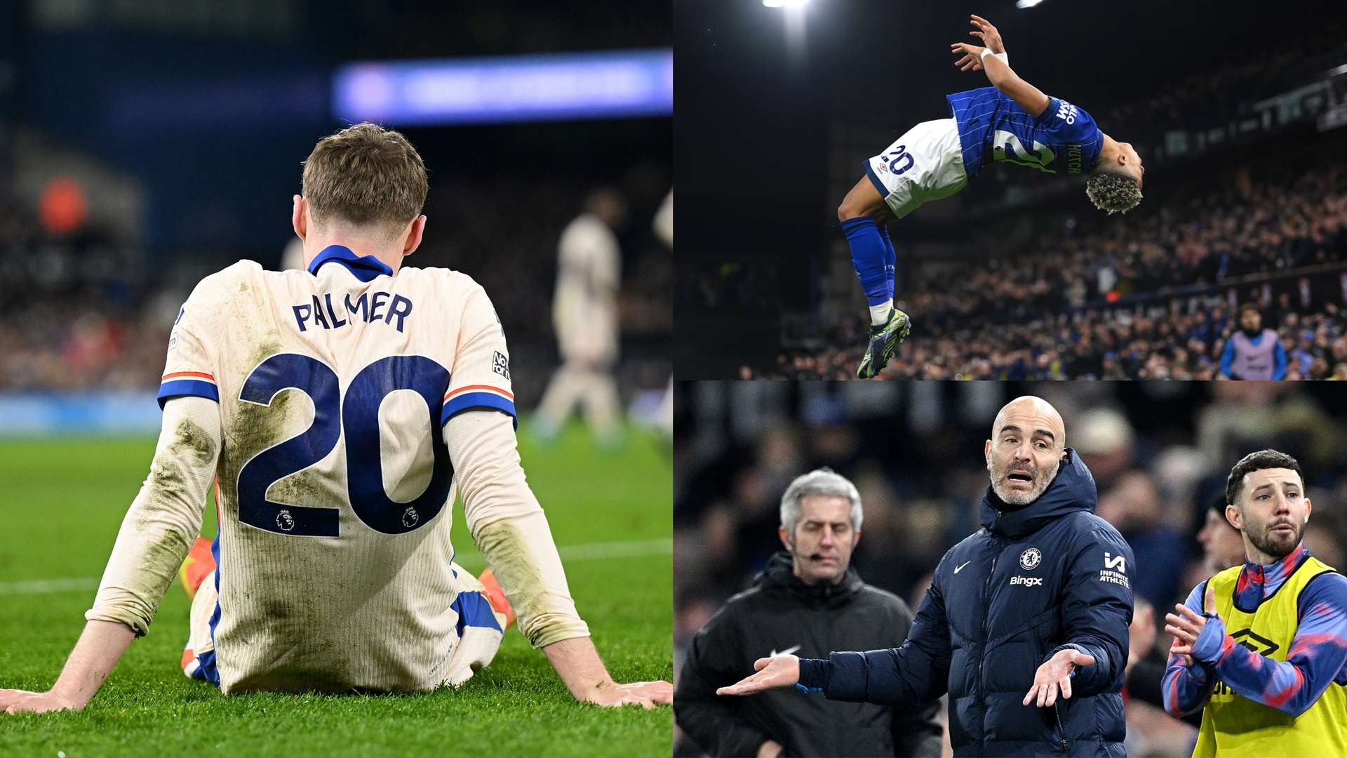 泳项目的转 泳项目的转